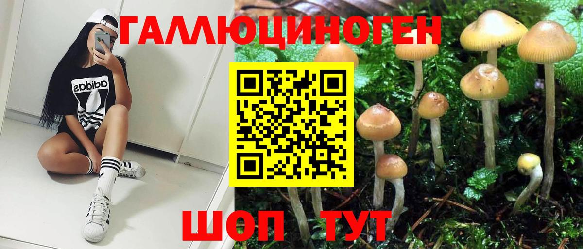 Псилоцибиновые грибы Psilocybe  купить наркотик  Галлюциногенные грибы мухоморы  Александров  Вход с VPN 